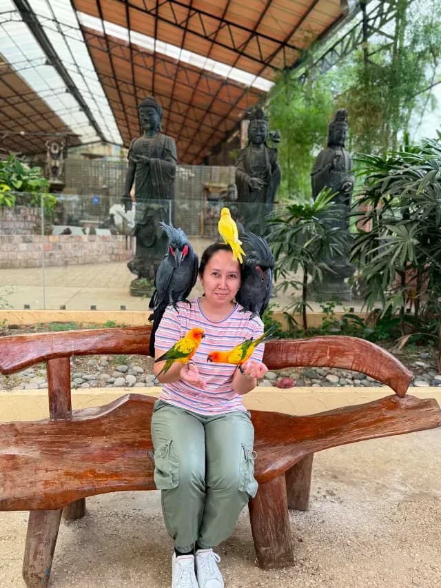 Stephany Joy Ogena, Mindfulness Phriend in Bacoor